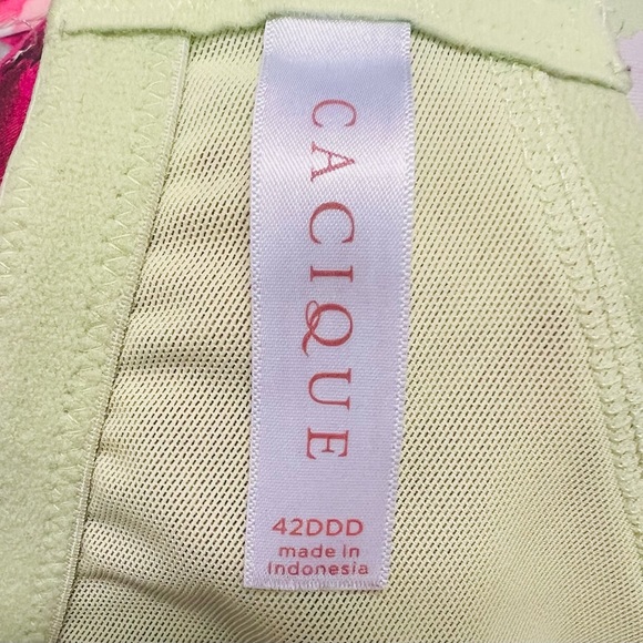 Cacique Floral Underwire Bra - Pink and Green - Picture 4 of 8